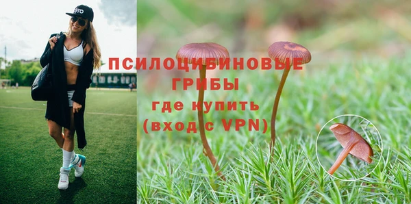 ешки Алексеевка