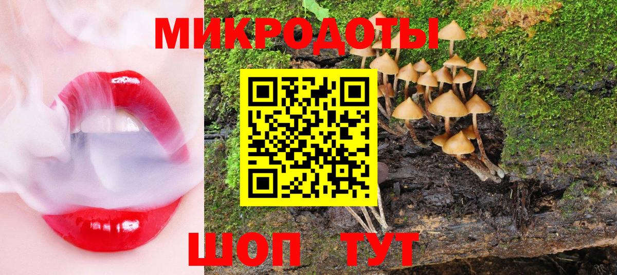 Псилоцибиновые грибы Cubensis  даркнет сайт  Чебоксары  Вход с VPN 