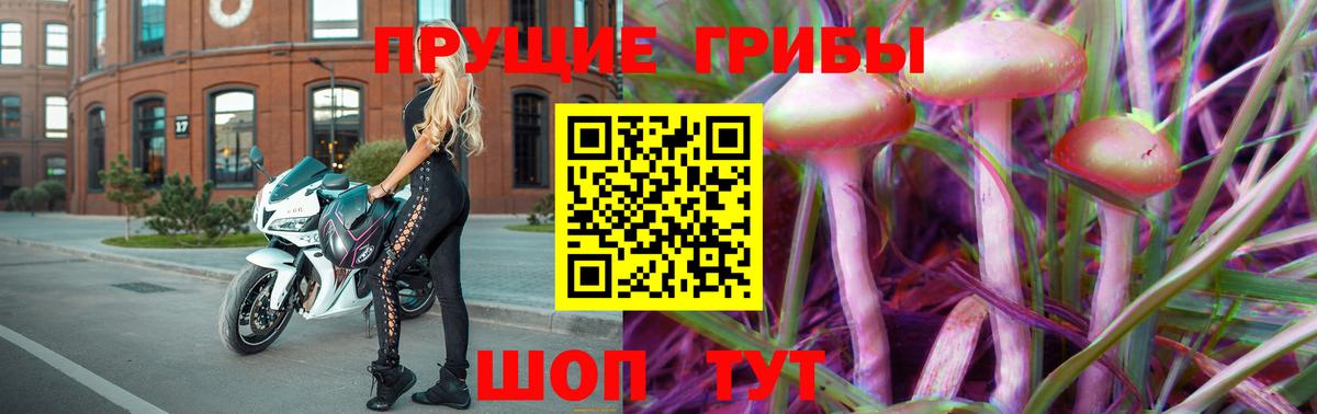 Галлюциногенные грибы Psilocybe Чебоксары